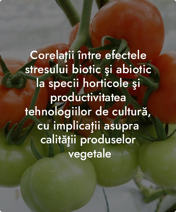 Corelatii