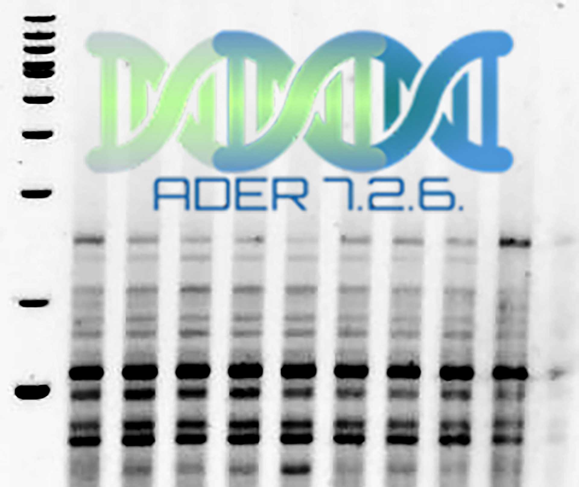 Ader 7.2.6 poza reprezentativa